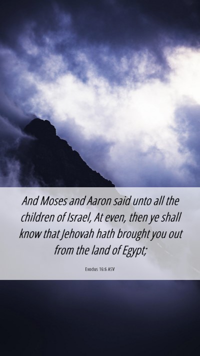 Picture 06 - Exodus 16:6 ASV Mobile Phone Wallpaper - And Moses and Aaron said unto all the children of - Mobile Bible Verse Wallpaper