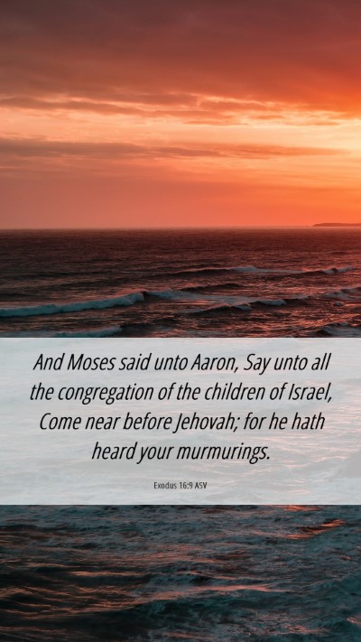 Picture 06 - Exodus 16:9 ASV Mobile Phone Wallpaper - And Moses said unto Aaron, Say unto all the - Mobile Bible Verse Wallpaper