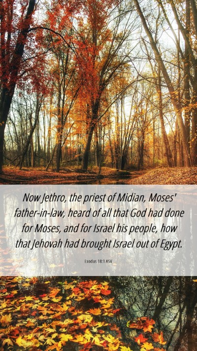 Picture 06 - Exodus 18:1 ASV Mobile Phone Wallpaper - Now Jethro, the priest of Midian, Moses' - Mobile Bible Verse Wallpaper
