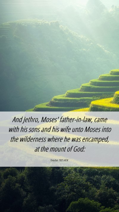 Picture 06 - Exodus 18:5 ASV Mobile Phone Wallpaper - And Jethro, Moses' father-in-law, came with his - Mobile Bible Verse Wallpaper