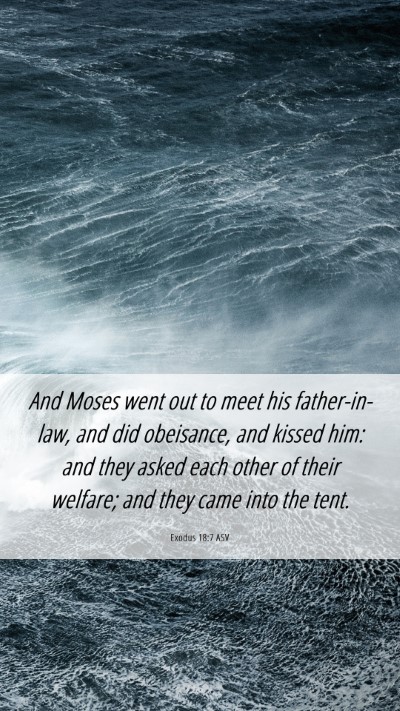 Picture 06 - Exodus 18:7 ASV Mobile Phone Wallpaper - And Moses went out to meet his father-in-law, and - Mobile Bible Verse Wallpaper
