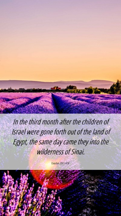 Picture 06 - Exodus 19:1 ASV Mobile Phone Wallpaper - In the third month after the children of Israel - Mobile Bible Verse Wallpaper