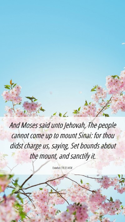 Picture 06 - Exodus 19:23 ASV Mobile Phone Wallpaper - And Moses said unto Jehovah, The people cannot - Mobile Bible Verse Wallpaper