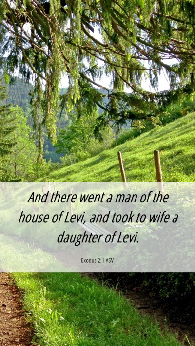 Picture 06 - Exodus 2:1 ASV Mobile Phone Wallpaper - And there went a man of the house of Levi, and - Mobile Bible Verse Wallpaper