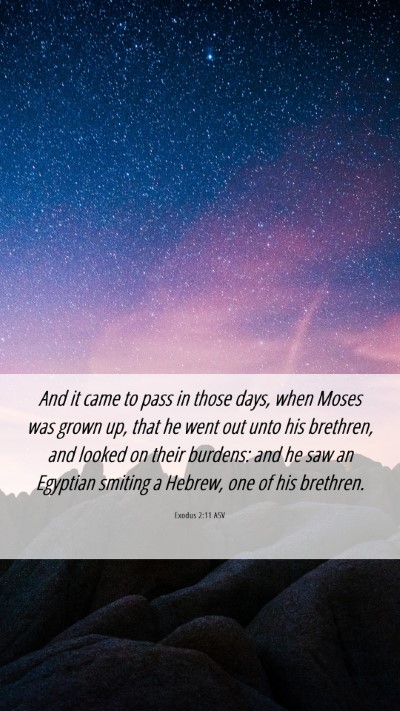 Picture 06 - Exodus 2:11 ASV Mobile Phone Wallpaper - And it came to pass in those days, when Moses was - Mobile Bible Verse Wallpaper