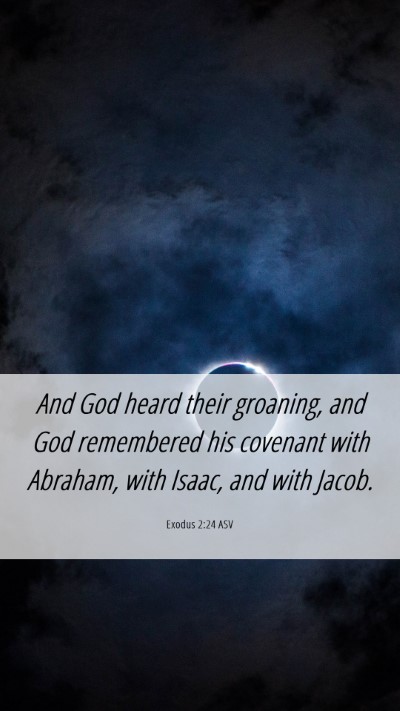 Picture 06 - Exodus 2:24 ASV Mobile Phone Wallpaper - And God heard their groaning, and God remembered - Mobile Bible Verse Wallpaper