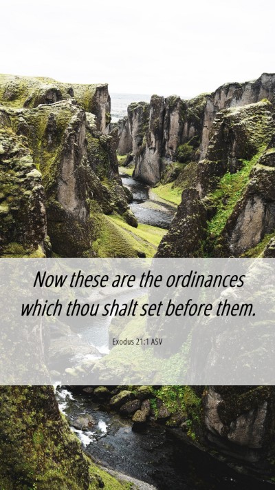 Picture 06 - Exodus 21:1 ASV Mobile Phone Wallpaper - Now these are the ordinances which thou shalt set - Mobile Bible Verse Wallpaper