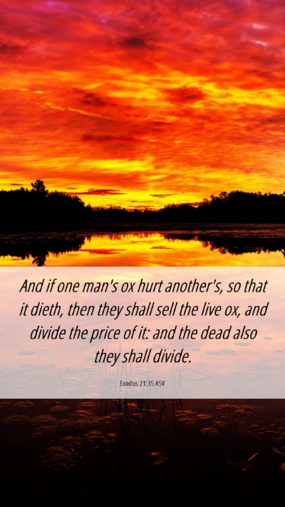 Picture 06 - Exodus 21:35 ASV Mobile Phone Wallpaper - And if one man's ox hurt another's, so that it - Mobile Bible Verse Wallpaper