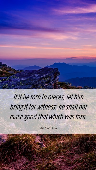 Picture 06 - Exodus 22:13 ASV Mobile Phone Wallpaper - If it be torn in pieces, let him bring it for - Mobile Bible Verse Wallpaper