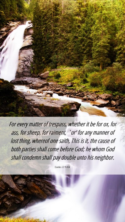 Picture 06 - Exodus 22:9 ASV Mobile Phone Wallpaper - For every matter of trespass, whether it be for - Mobile Bible Verse Wallpaper