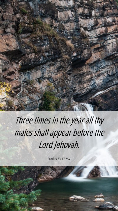 Picture 06 - Exodus 23:17 ASV Mobile Phone Wallpaper - Three times in the year all thy males shall - Mobile Bible Verse Wallpaper