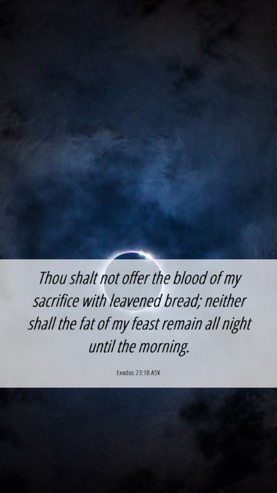 Picture 06 - Exodus 23:18 ASV Mobile Phone Wallpaper - Thou shalt not offer the blood of my sacrifice - Mobile Bible Verse Wallpaper