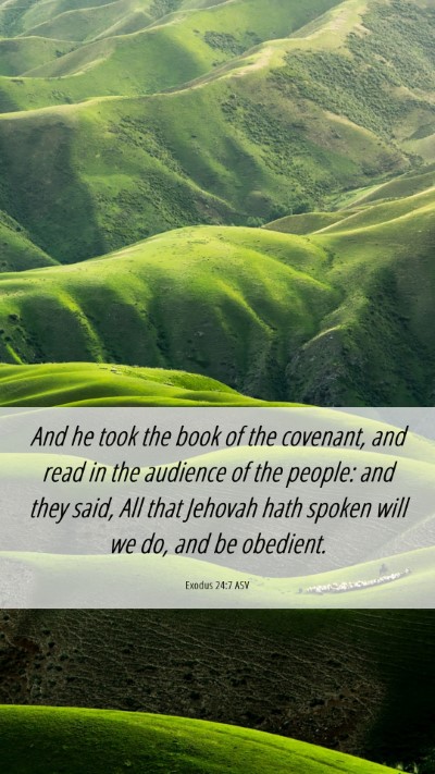 Picture 06 - Exodus 24:7 ASV Mobile Phone Wallpaper - And he took the book of the covenant, and read in - Mobile Bible Verse Wallpaper