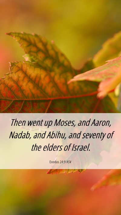 Picture 06 - Exodus 24:9 ASV Mobile Phone Wallpaper - Then went up Moses, and Aaron, Nadab, and Abihu, - Mobile Bible Verse Wallpaper