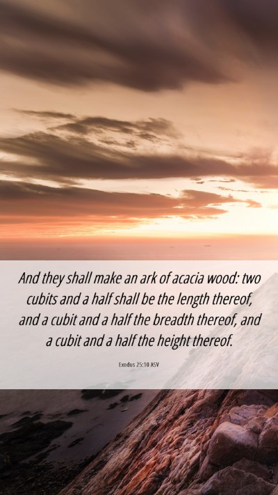 Picture 06 - Exodus 25:10 ASV Mobile Phone Wallpaper - And they shall make an ark of acacia wood: two - Mobile Bible Verse Wallpaper