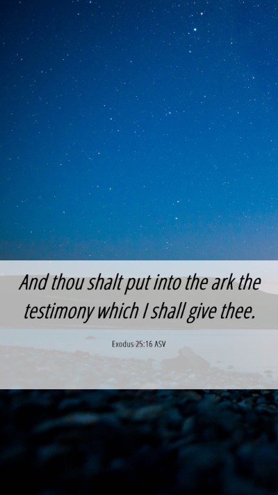Picture 06 - Exodus 25:16 ASV Mobile Phone Wallpaper - And thou shalt put into the ark the testimony - Mobile Bible Verse Wallpaper
