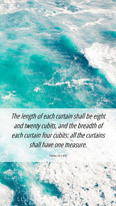 Picture 06 - Exodus 26:2 ASV Mobile Phone Wallpaper - The length of each curtain shall be eight and - Mobile Bible Verse Wallpaper