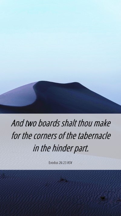Picture 06 - Exodus 26:23 ASV Mobile Phone Wallpaper - And two boards shalt thou make for the corners of - Mobile Bible Verse Wallpaper