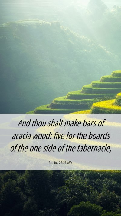 Picture 06 - Exodus 26:26 ASV Mobile Phone Wallpaper - And thou shalt make bars of acacia wood: five for - Mobile Bible Verse Wallpaper