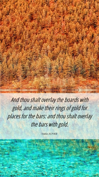 Picture 06 - Exodus 26:29 ASV Mobile Phone Wallpaper - And thou shalt overlay the boards with gold, and - Mobile Bible Verse Wallpaper
