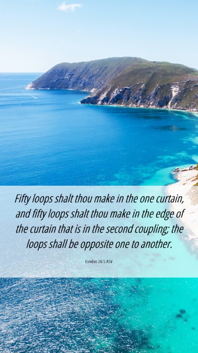 Picture 06 - Exodus 26:5 ASV Mobile Phone Wallpaper - Fifty loops shalt thou make in the one curtain, - Mobile Bible Verse Wallpaper