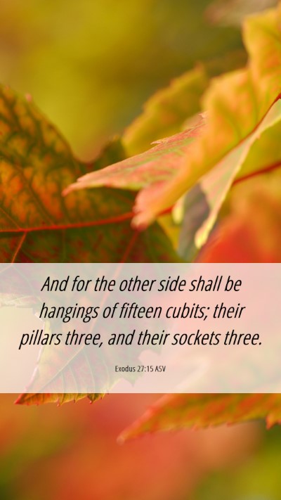 Picture 06 - Exodus 27:15 ASV Mobile Phone Wallpaper - And for the other side shall be hangings of - Mobile Bible Verse Wallpaper