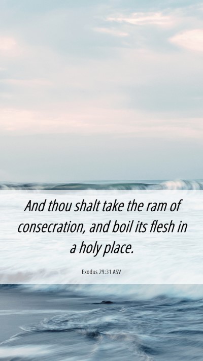 Picture 06 - Exodus 29:31 ASV Mobile Phone Wallpaper - And thou shalt take the ram of consecration, and - Mobile Bible Verse Wallpaper