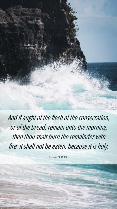 Picture 06 - Exodus 29:34 ASV Mobile Phone Wallpaper - And if aught of the flesh of the consecration, or - Mobile Bible Verse Wallpaper