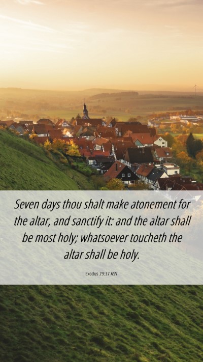 Picture 06 - Exodus 29:37 ASV Mobile Phone Wallpaper - Seven days thou shalt make atonement for the - Mobile Bible Verse Wallpaper