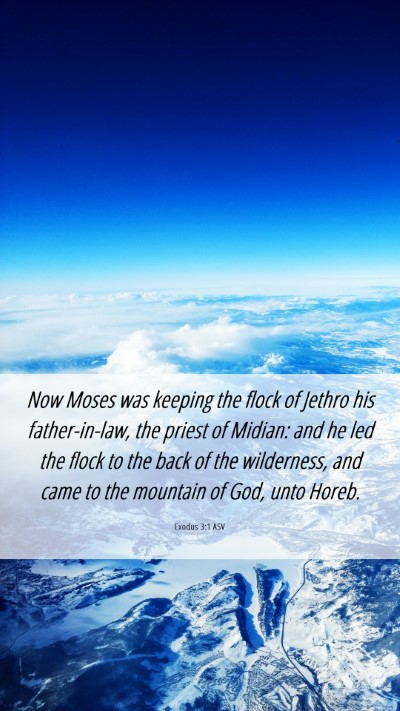 Picture 06 - Exodus 3:1 ASV Mobile Phone Wallpaper - Now Moses was keeping the flock of Jethro his - Mobile Bible Verse Wallpaper