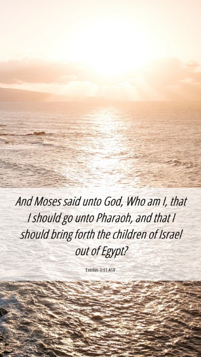 Picture 06 - Exodus 3:11 ASV Mobile Phone Wallpaper - And Moses said unto God, Who am I, that I should - Mobile Bible Verse Wallpaper