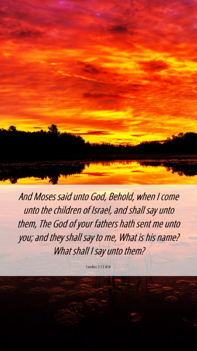 Picture 06 - Exodus 3:13 ASV Mobile Phone Wallpaper - And Moses said unto God, Behold, when I come unto - Mobile Bible Verse Wallpaper