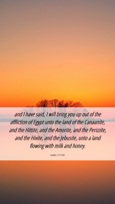 Picture 06 - Exodus 3:17 ASV Mobile Phone Wallpaper - and I have said, I will bring you up out of the - Mobile Bible Verse Wallpaper
