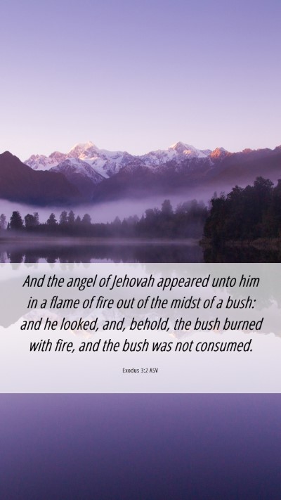 Picture 06 - Exodus 3:2 ASV Mobile Phone Wallpaper - And the angel of Jehovah appeared unto him in a - Mobile Bible Verse Wallpaper