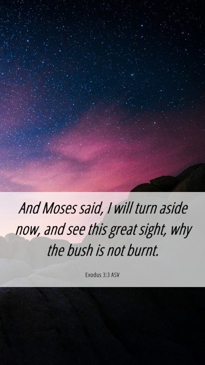 Picture 06 - Exodus 3:3 ASV Mobile Phone Wallpaper - And Moses said, I will turn aside now, and see - Mobile Bible Verse Wallpaper