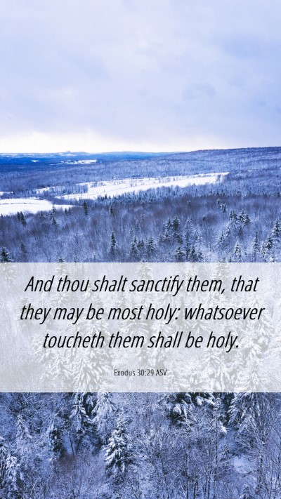 Picture 06 - Exodus 30:29 ASV Mobile Phone Wallpaper - And thou shalt sanctify them, that they may be - Mobile Bible Verse Wallpaper