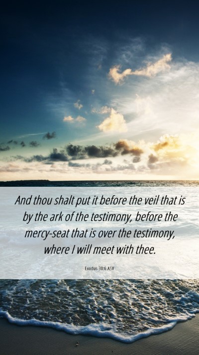Picture 06 - Exodus 30:6 ASV Mobile Phone Wallpaper - And thou shalt put it before the veil that is by - Mobile Bible Verse Wallpaper