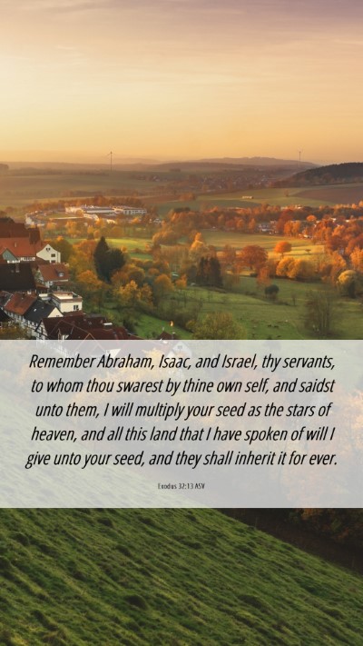 Picture 06 - Exodus 32:13 ASV Mobile Phone Wallpaper - Remember Abraham, Isaac, and Israel, thy - Mobile Bible Verse Wallpaper