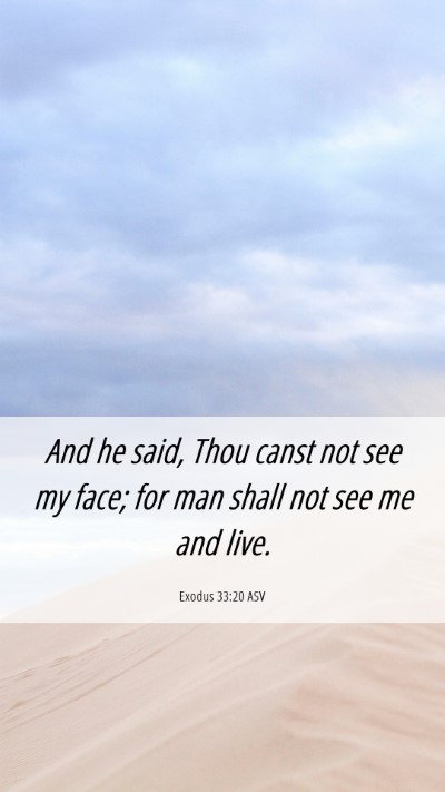 Picture 06 - Exodus 33:20 ASV Mobile Phone Wallpaper - And he said, Thou canst not see my face; for man - Mobile Bible Verse Wallpaper