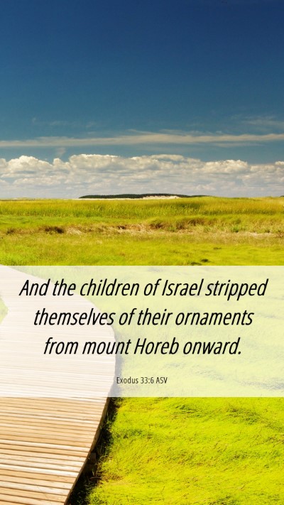 Picture 06 - Exodus 33:6 ASV Mobile Phone Wallpaper - And the children of Israel stripped themselves of - Mobile Bible Verse Wallpaper