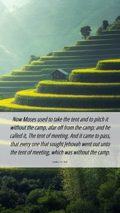 Picture 06 - Exodus 33:7 ASV Mobile Phone Wallpaper - Now Moses used to take the tent and to pitch it - Mobile Bible Verse Wallpaper