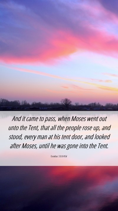 Picture 06 - Exodus 33:8 ASV Mobile Phone Wallpaper - And it came to pass, when Moses went out unto the - Mobile Bible Verse Wallpaper