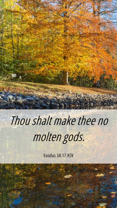 Picture 06 - Exodus 34:17 ASV Mobile Phone Wallpaper - Thou shalt make thee no molten - Mobile Bible Verse Wallpaper