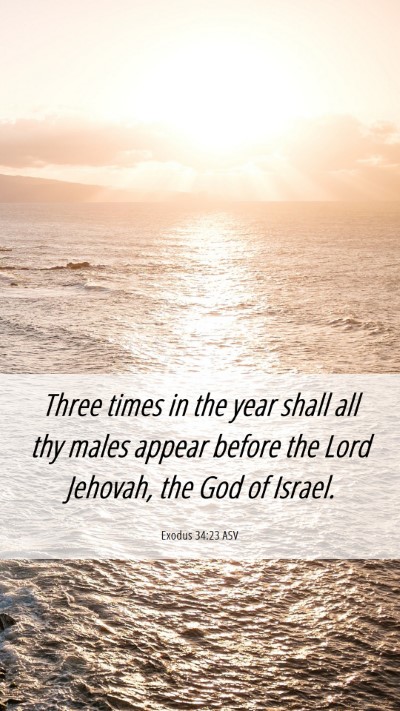 Picture 06 - Exodus 34:23 ASV Mobile Phone Wallpaper - Three times in the year shall all thy males - Mobile Bible Verse Wallpaper
