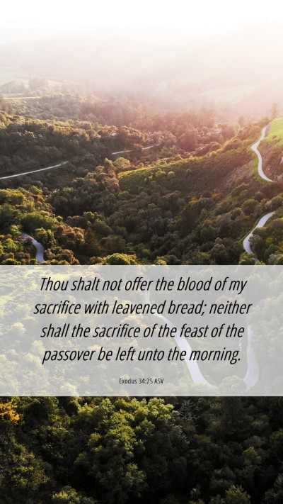 Picture 06 - Exodus 34:25 ASV Mobile Phone Wallpaper - Thou shalt not offer the blood of my sacrifice - Mobile Bible Verse Wallpaper