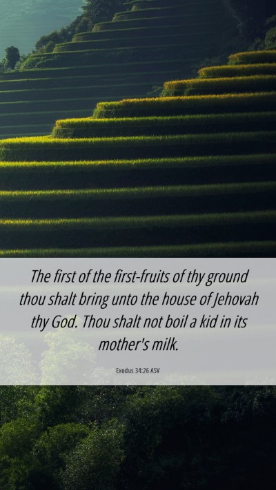 Picture 06 - Exodus 34:26 ASV Mobile Phone Wallpaper - The first of the first-fruits of thy ground thou - Mobile Bible Verse Wallpaper