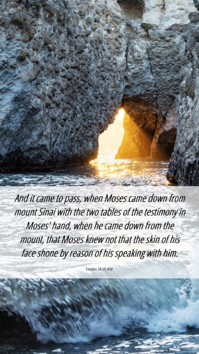 Picture 06 - Exodus 34:29 ASV Mobile Phone Wallpaper - And it came to pass, when Moses came down from - Mobile Bible Verse Wallpaper