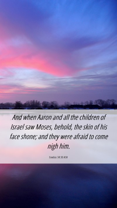 Picture 06 - Exodus 34:30 ASV Mobile Phone Wallpaper - And when Aaron and all the children of Israel saw - Mobile Bible Verse Wallpaper