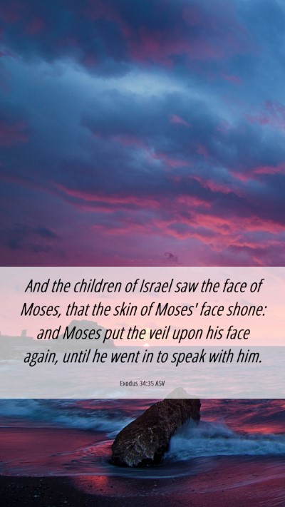 Picture 06 - Exodus 34:35 ASV Mobile Phone Wallpaper - And the children of Israel saw the face of Moses, - Mobile Bible Verse Wallpaper