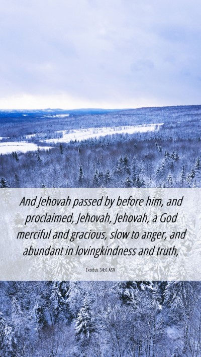 Picture 06 - Exodus 34:6 ASV Mobile Phone Wallpaper - And Jehovah passed by before him, and proclaimed, - Mobile Bible Verse Wallpaper